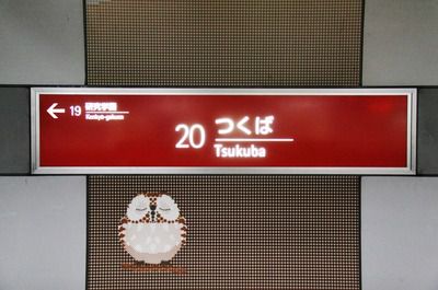 つくばエクスプレス・つくば駅~クルマ社会の中の駅、ほぼ地下帝国です!