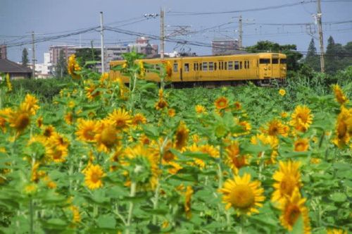 乗り鉄活動 川崎から中央本線経由で米原へ 1989-08-26