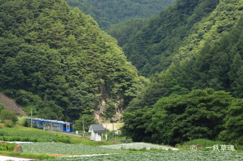 森を抜けて佐久広瀬駅へ