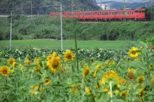 乗り鉄活動 18きっぷ乗りっぱなしの旅 1989-08-29