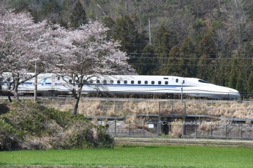 東海道新幹線 サクラ紀行1