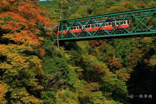 あの頃の箱根登山鉄道
