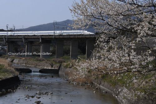 東海道新幹線 サクラ紀行4