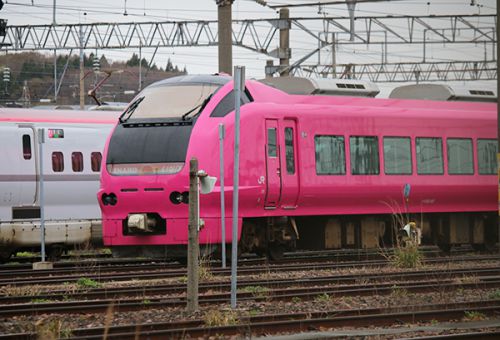 今朝の秋田車両センターの特急いなほはハマナスでした!