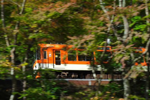 令和のMapletrain ~叡山電鉄900系“きらら”~