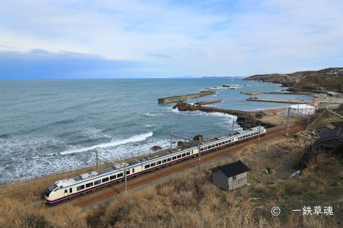 穏やかな日本海と特急しらゆき