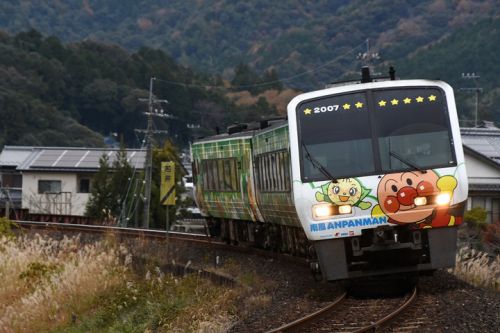 土佐くろしお鉄道中村線 若井~荷稲