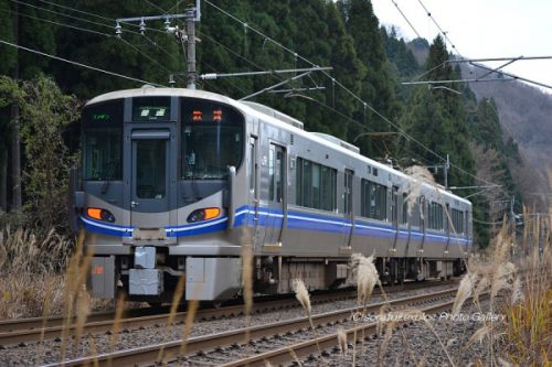 521系ワンマン列車