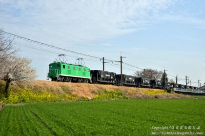 緑デキが牽く石炭列車