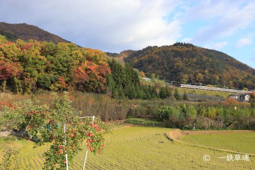 里山を特急しなのが行く」