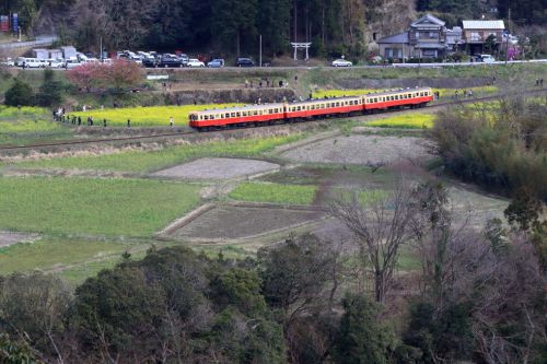 春の気動車 - 2020年早春・小湊鉄道 -