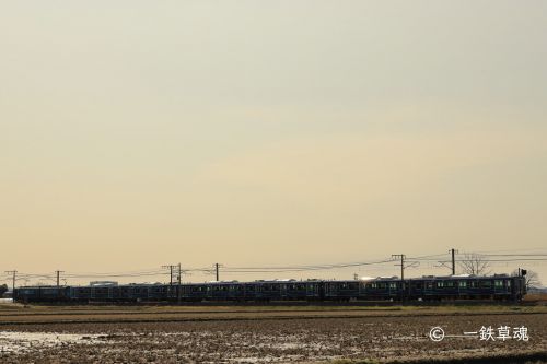 SR1系の配給列車