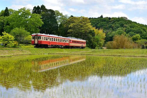 いすみ鉄道の水田風景を行くキハ52+28(西畑~総元)