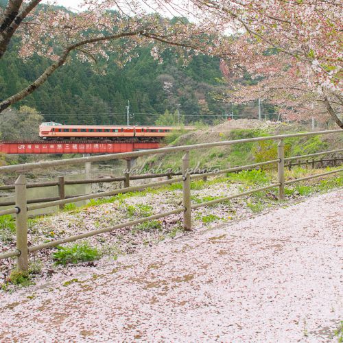 鉄道風景写真に目覚めた日