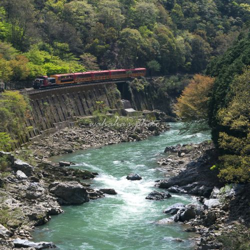駅から見える絶景