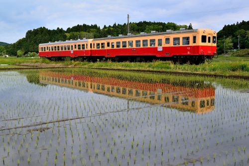 小湊鉄道の水田風景とキハ200形の水鏡風景他(上総川間~上総鶴間・養老渓谷~上総大久保)