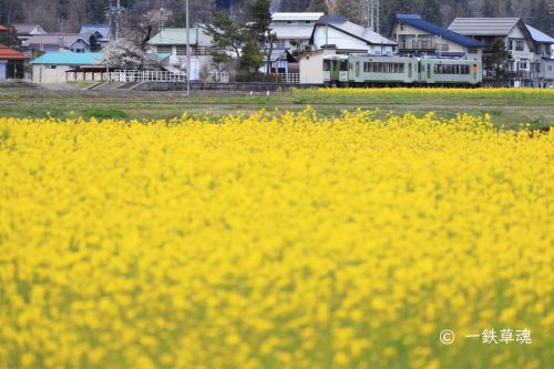 菜の花の駅、信濃平