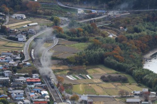 晩秋の小さな町の外れで汽車と電車がすれ違った - 2017年・上越線 -