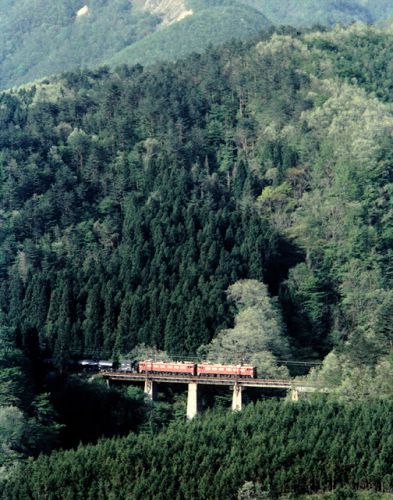 五月の 仙山線 奥新川駅 あたり 1983.5.4