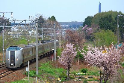 今年のサクラと列車はどこで撮影しようか?