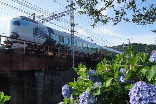山中渓駅近くのアジサイと「パンダくろしお」の撮影記録(2020.6.21)