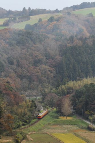 今年、リベンジできなかった黄葉 - 2018年・小湊鉄道 -