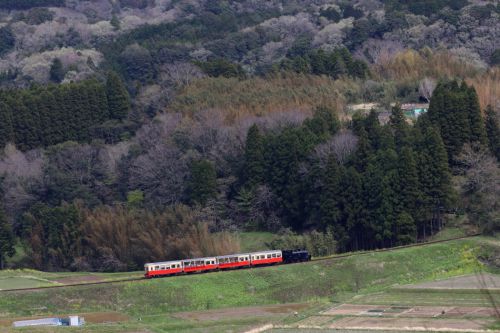 早春の築堤をとことこと - 2017年・小湊鉄道 -