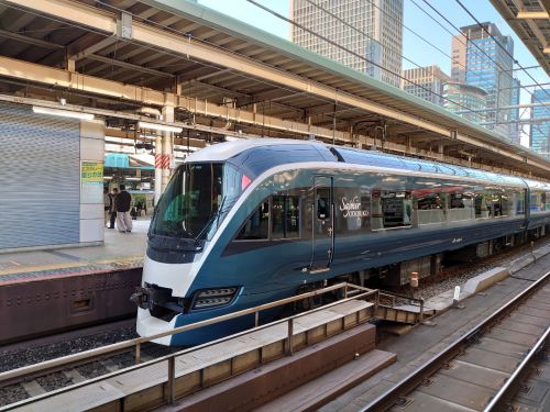 【最後の活躍を追う・国鉄特急型185系⑤】JR東日本最後の国鉄型特急車両☆日常の光景