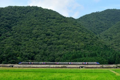 智頭急行の夏の水田地帯を駆け抜ける特急「スーパーはくと」他(苔縄~河野原円心)