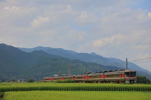播但線の夏の水田風景の中を行く183系特急「はまかぜ」と103系ローカル電車(新野~鶴井)