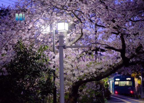 終着駅