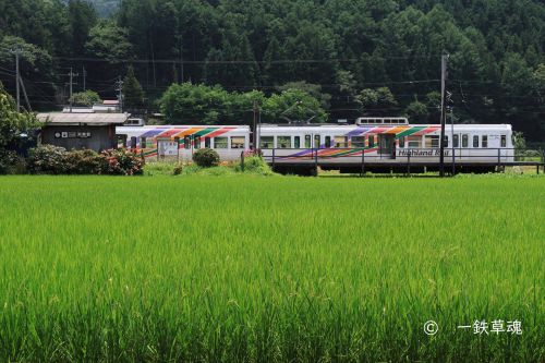 渕東駅と3000形の夏