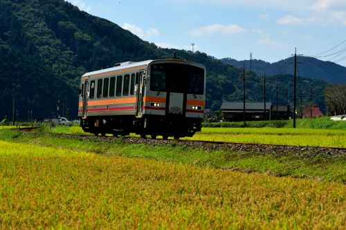 姫新線の実りの秋を行くキハ120形ローカル列車(吉見~美作落合)