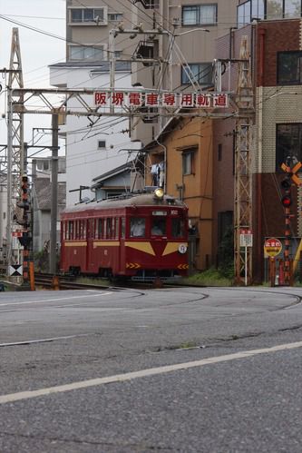 阪堺電気軌道の貸切列車「ことは号」を撮影する(2020.10.4) #ことは号
