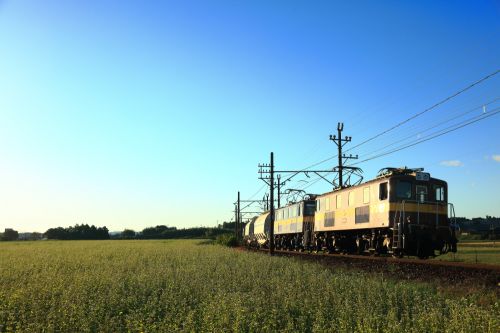 三岐鉄道のそばの白い花と彼岸花が咲く日和を行くED45重連牽引白ホキ貨物(丹生川~三里)