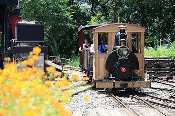 2020年まきば線蒸機列車運行予定