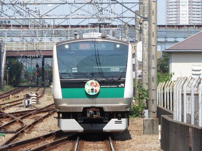 JR東日本E233系7000番台(川越線80周年) 相鉄本線特急海老名行き