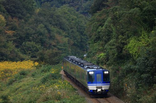 因美線の秋の小さな峠道を行く智頭鉄道HOT7000系特急「スーパーはくと」(河原~国英)