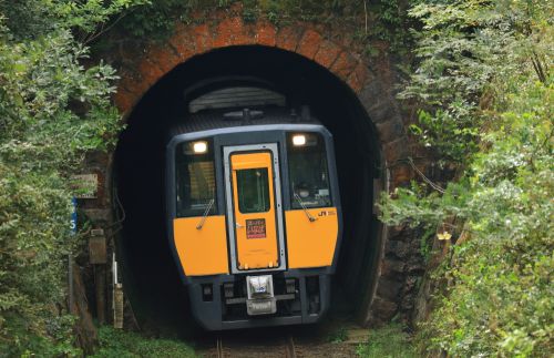 因美線を行くローカル特急187系「スーパーいなば」と智頭急行のローカル列車HOT3500系(河原~国英)
