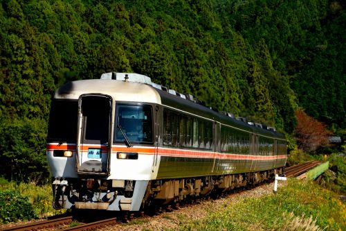 紀勢本線の秋を行くキハ85系特急「ワイドビュー南紀」と、ローカル列車のキハ25系(阿曽~伊勢柏崎・大内山~梅ケ谷)