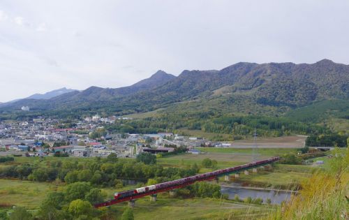 合間に写した貨物列車