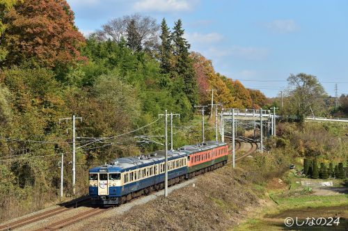 団体列車 秋の115系満喫号の旅号