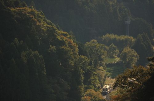 名松線の秋の光線の中を行くキハ11系ローカル列車(伊勢竹原~伊勢鎌倉)