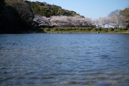 牟岐線 全線全駅完乗の旅 5日目(羽ノ浦〜阿南)
