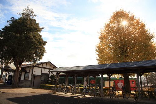 西田井駅のイチョウの木