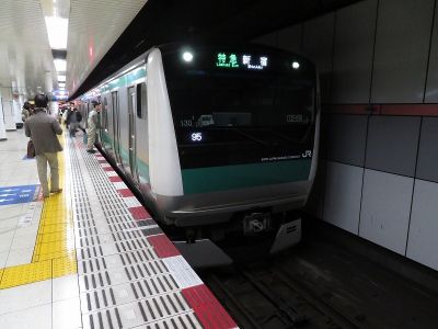 JR東日本E233系7000番台 相鉄本線特急新宿行き