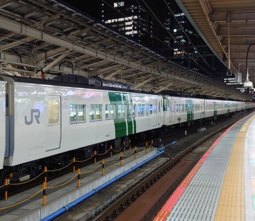 【最後の活躍を追う・国鉄特急型185系⑦】堂々の15両長大編成☆185系湘南ライナー