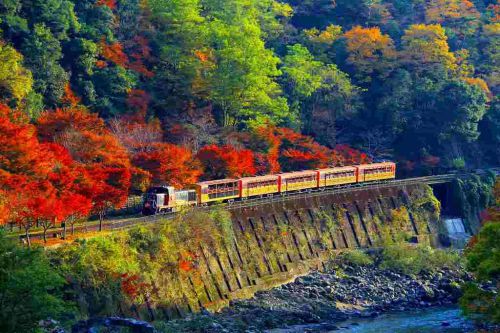 嵯峨野トロッコ列車