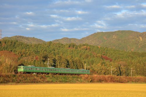 草津線の晩秋の早朝を行く113系通勤電車(貴生川~三雲)