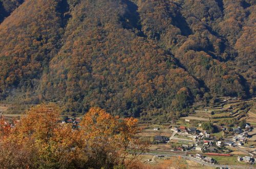津山線の晩秋の渓谷集落を行くキハ47系ローカル列車(牧山~野々口)